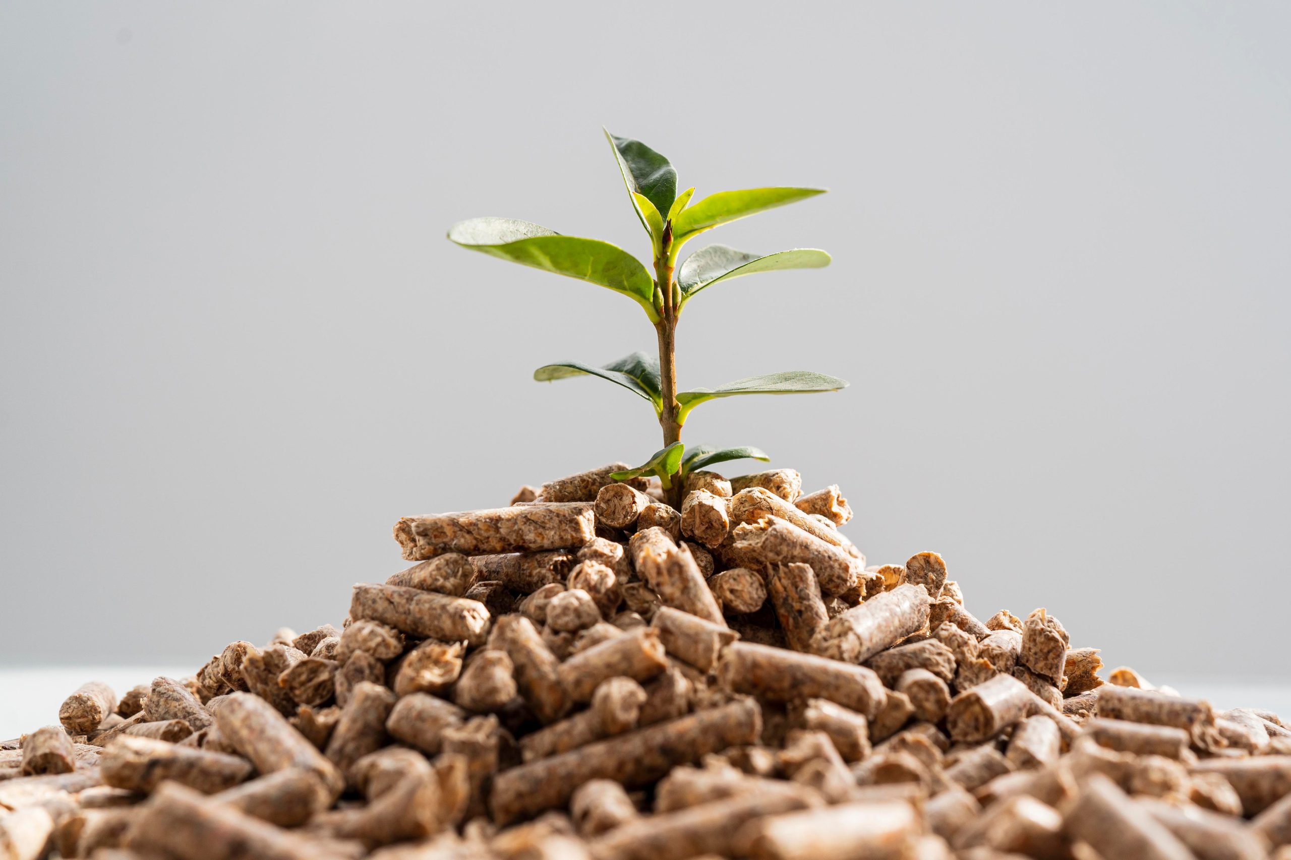 Abono orgánico pellet