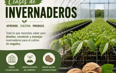 Clases de invernaderos y cuál elegir [Guía]