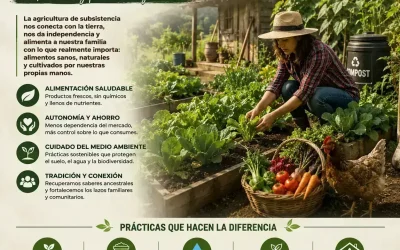 ¿Qué es la agricultura de subsistencia?